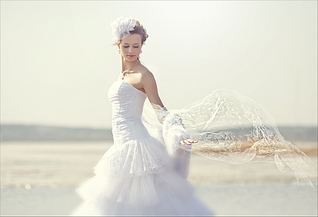 click for enlarge 900 X 613 244,0 Kb picture
