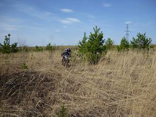 click for enlarge 1200 X 900 259,0 Kb picture