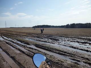 click for enlarge 1200 X 900 173,6 Kb picture