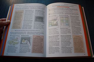 click for enlarge 600 X 399 40,0 Kb picture