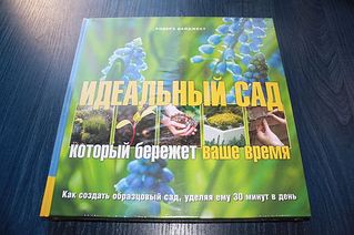 click for enlarge 600 X 399 46,7 Kb picture