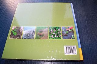 click for enlarge 600 X 399 33,7 Kb picture