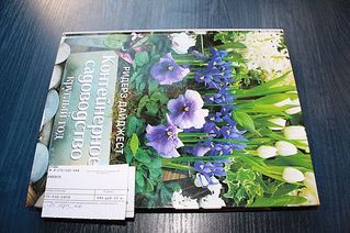 click for enlarge 600 X 399 56,2 Kb picture