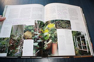 click for enlarge 600 X 399 56,6 Kb picture