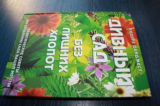 click for enlarge 600 X 399 54,1 Kb picture