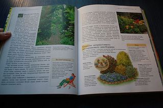 click for enlarge 600 X 399 38,5 Kb picture