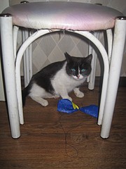 click for enlarge 1704 X 2272 772,1 Kb picture
