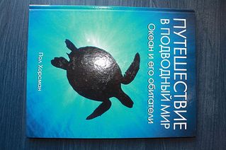 click for enlarge 600 X 399 41,2 Kb picture