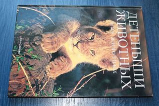 click for enlarge 600 X 399 60,1 Kb picture