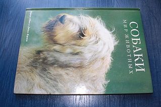 click for enlarge 600 X 399 42,2 Kb picture