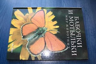 click for enlarge 600 X 399 47,2 Kb picture