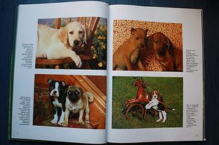 click for enlarge 600 X 399 44,4 Kb picture