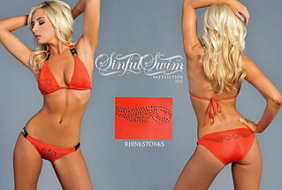 click for enlarge 383 X 258 28,7 Kb picture