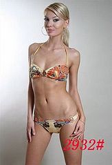 click for enlarge 218 X 320 14,1 Kb picture