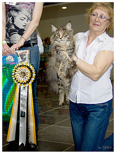 click for enlarge 594 X 785 179,0 Kb picture