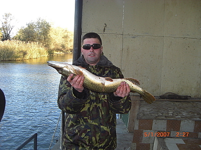 click for enlarge 800 X 600 420,8 Kb picture