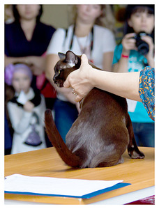 click for enlarge 1731 X 2276 427,1 Kb picture