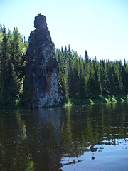 click for enlarge 1920 X 2560 396,2 Kb picture