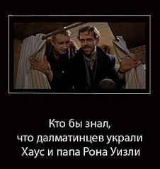 click for enlarge 485 X 513 36,5 Kb picture