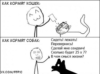 click for enlarge 460 X 343 33,4 Kb picture