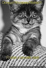 click for enlarge 467 X 700 78,1 Kb picture