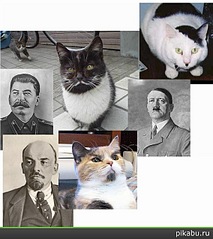 click for enlarge 567 X 636 92,2 Kb picture