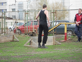click for enlarge 800 X 600 427,3 Kb picture