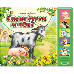 click for enlarge 800 X 800 338,4 Kb picture