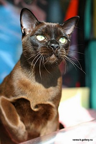 click for enlarge 493 X 740 72,2 Kb picture