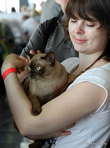 click for enlarge 551 X 740 88,5 Kb picture