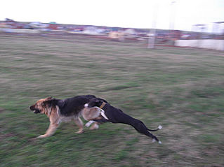 click for enlarge 640 X 479 42,4 Kb picture