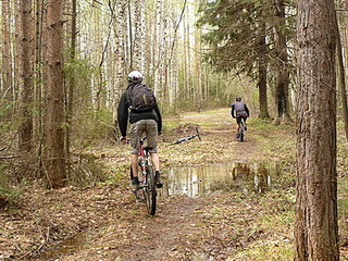 click for enlarge 400 X 300 102,0 Kb picture