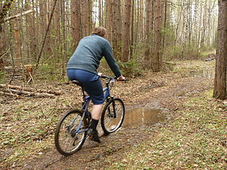 click for enlarge 400 X 300 98,7 Kb picture