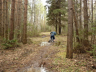 click for enlarge 400 X 300 96,9 Kb picture