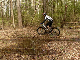 click for enlarge 400 X 300 98,1 Kb picture