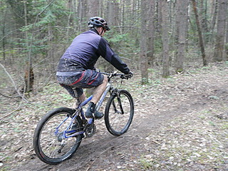 click for enlarge 400 X 300 86,3 Kb picture