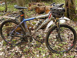 click for enlarge 400 X 300 115,8 Kb picture