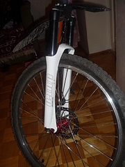 click for enlarge 1920 X 2560 244,2 Kb picture