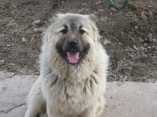 click for enlarge 1920 X 1440 728,4 Kb picture