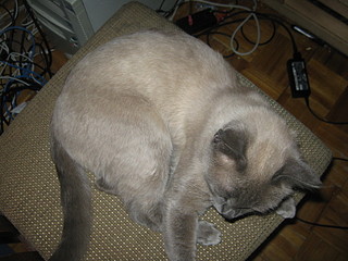 click for enlarge 1920 X 1440 638,9 Kb picture