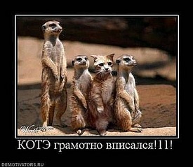 click for enlarge 400 X 348 33,7 Kb picture