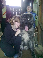 click for enlarge 1536 X 2048 446,9 Kb picture