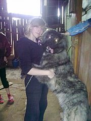 click for enlarge 1536 X 2048 451,8 Kb picture