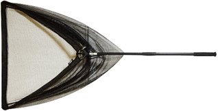click for enlarge 540 X 275 38,5 Kb picture