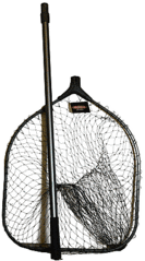 click for enlarge 240 X 433 37,7 Kb picture
