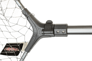 click for enlarge 520 X 346 34,6 Kb picture