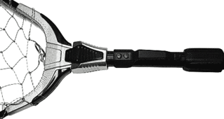 click for enlarge 520 X 277 26,3 Kb picture