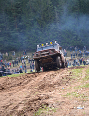 click for enlarge 1000 X 1300 889,6 Kb picture