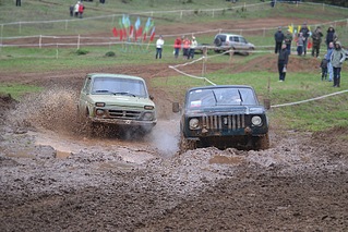 click for enlarge 1000 X 667 667,5 Kb picture