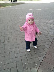 click for enlarge 480 X 640 87,7 Kb picture